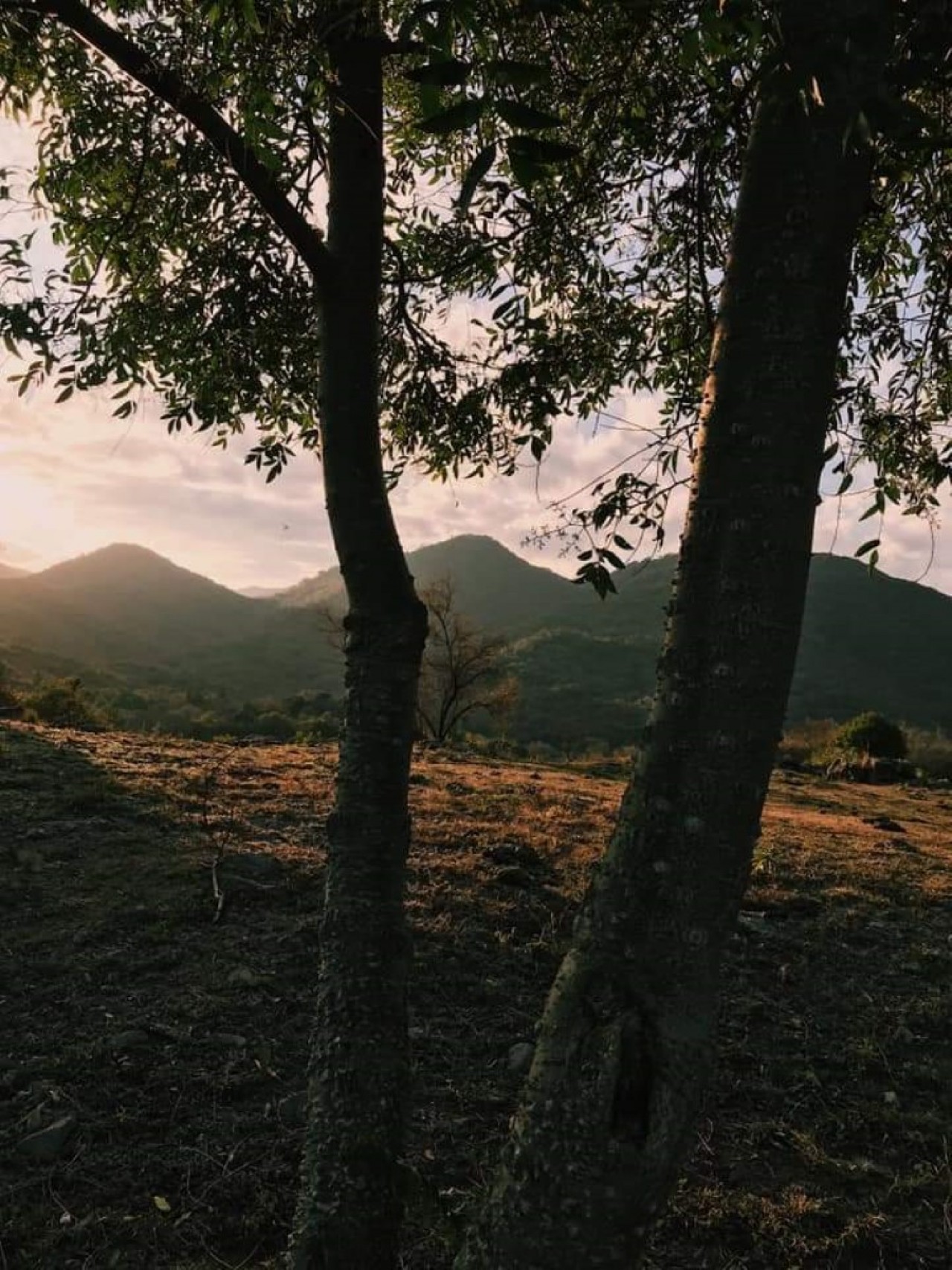 Venta de Terrenos en las Sierras de Córdoba.